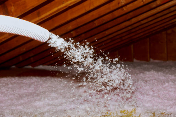 Best Insulation for Specific Applications in Palestine, IL